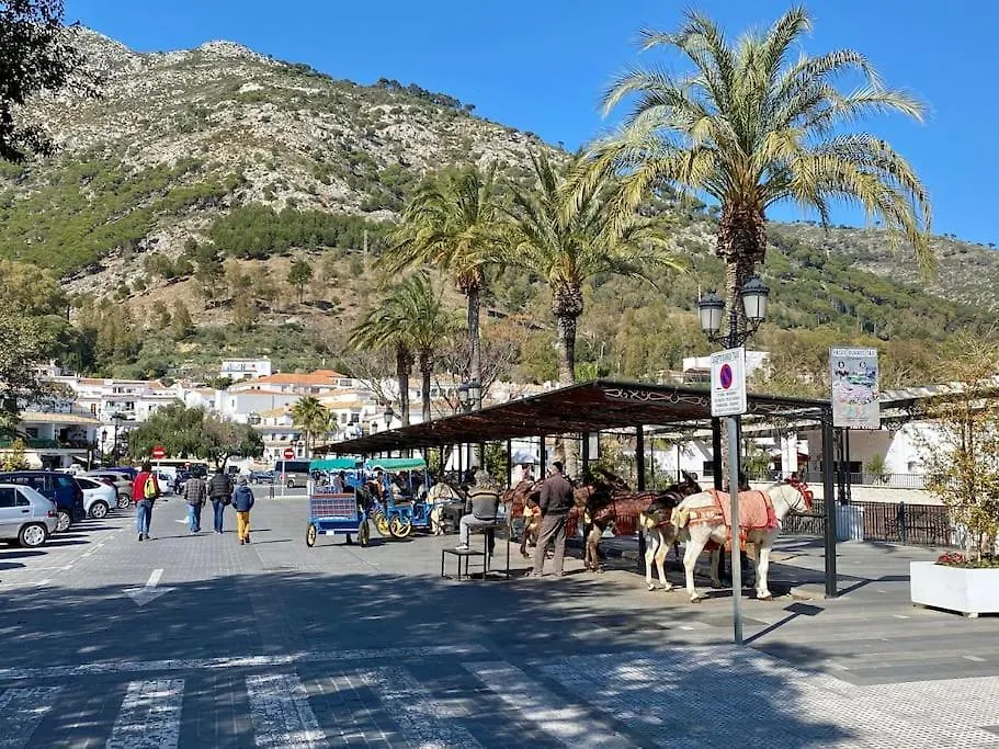 Higueronrentals Holiday Dream Màlaga Apartmán